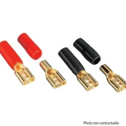 RDI Cosses Haut-parleur D6515 "or" -