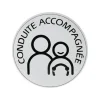 CARLINEA Disque conduite accompagnée électrostatique -