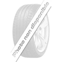 MICHELIN Pneu 255-40R20 PS EV